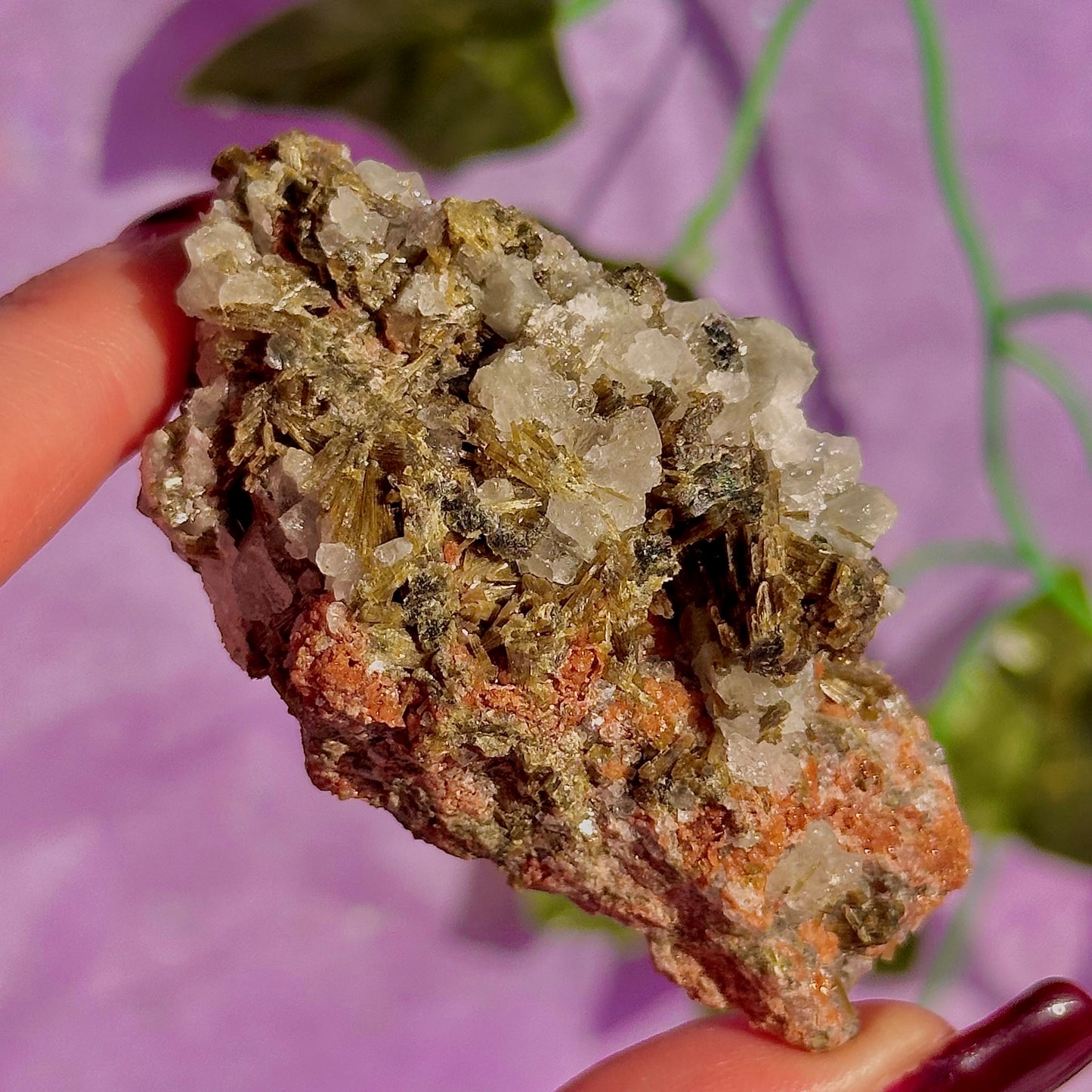 spécimen d'épidote de forêt avec quartz et grenat