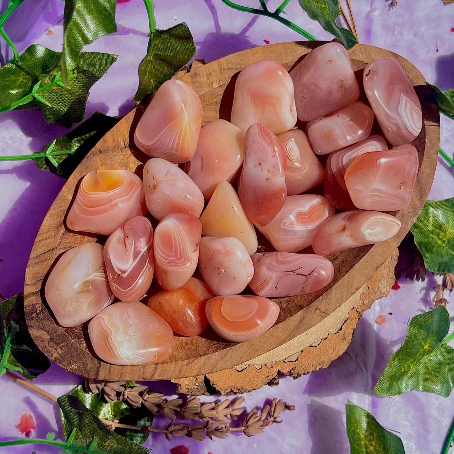 apricot agate tumbles