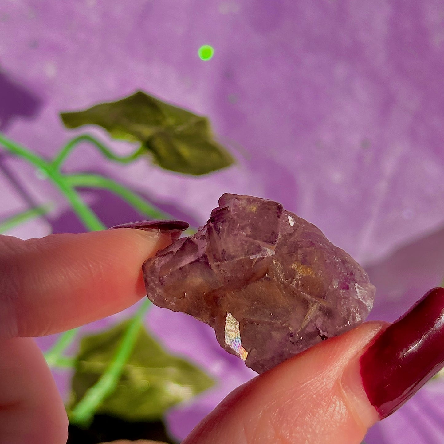 stalactitic UV cubic fluorite cluster specimen ~ choose your own