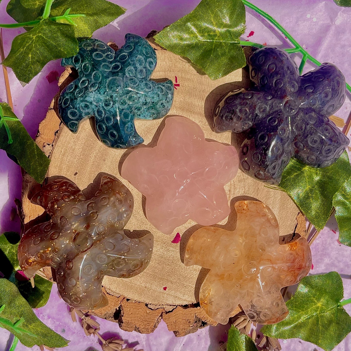 mixed starfish carvings ~ choose your own