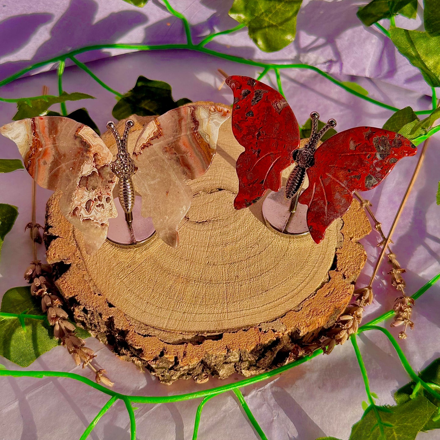 small butterfly wings on stand A ~ choose your own