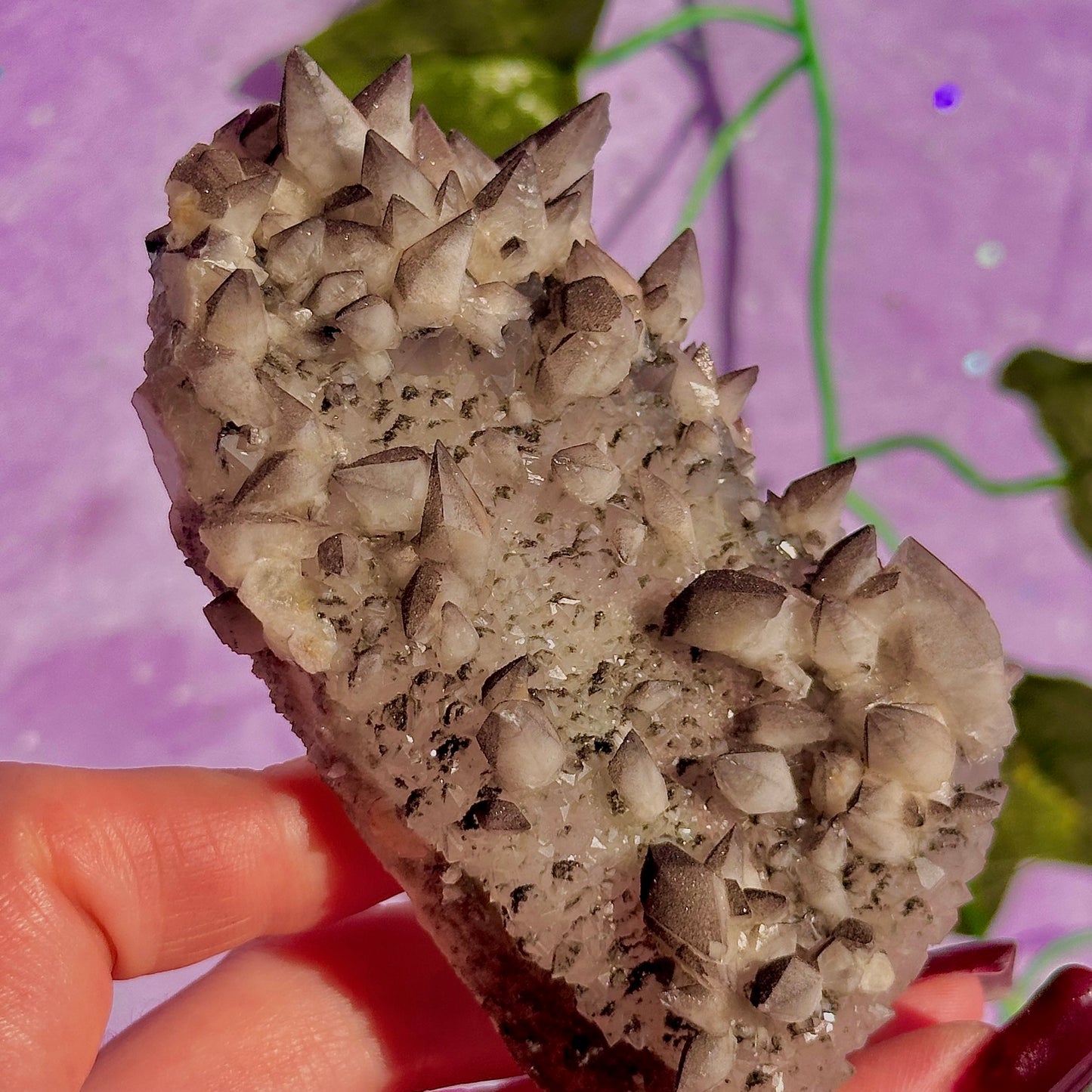 tigers tooth / dogs tooth calcite cluster specimen