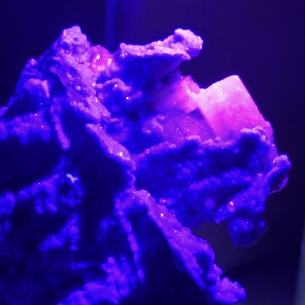 calcite colonnaire UV sur spécimen de quartz drusy D
