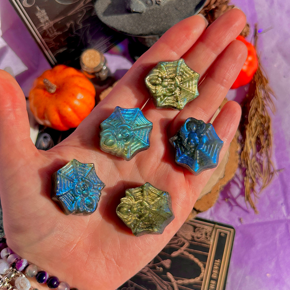 labradorite mini spider with carving ~ intuitively chosen