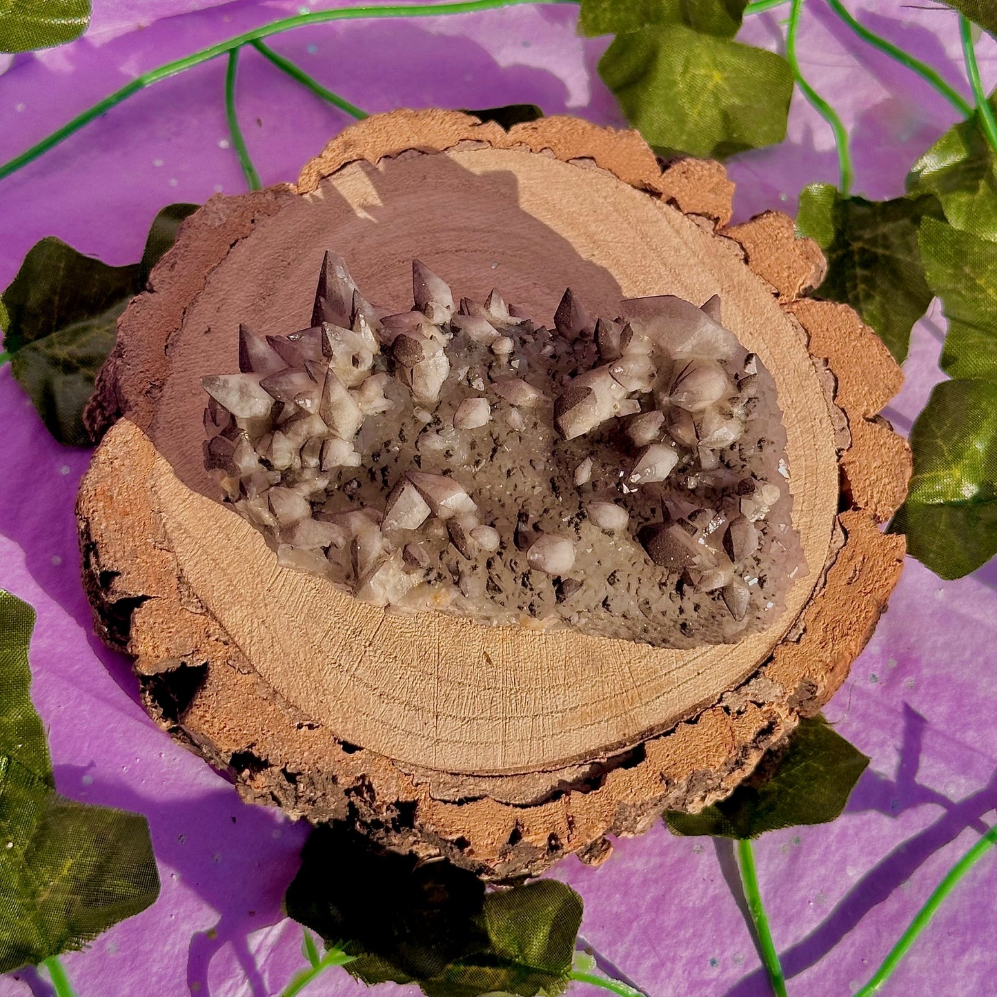 tigers tooth / dogs tooth calcite cluster specimen