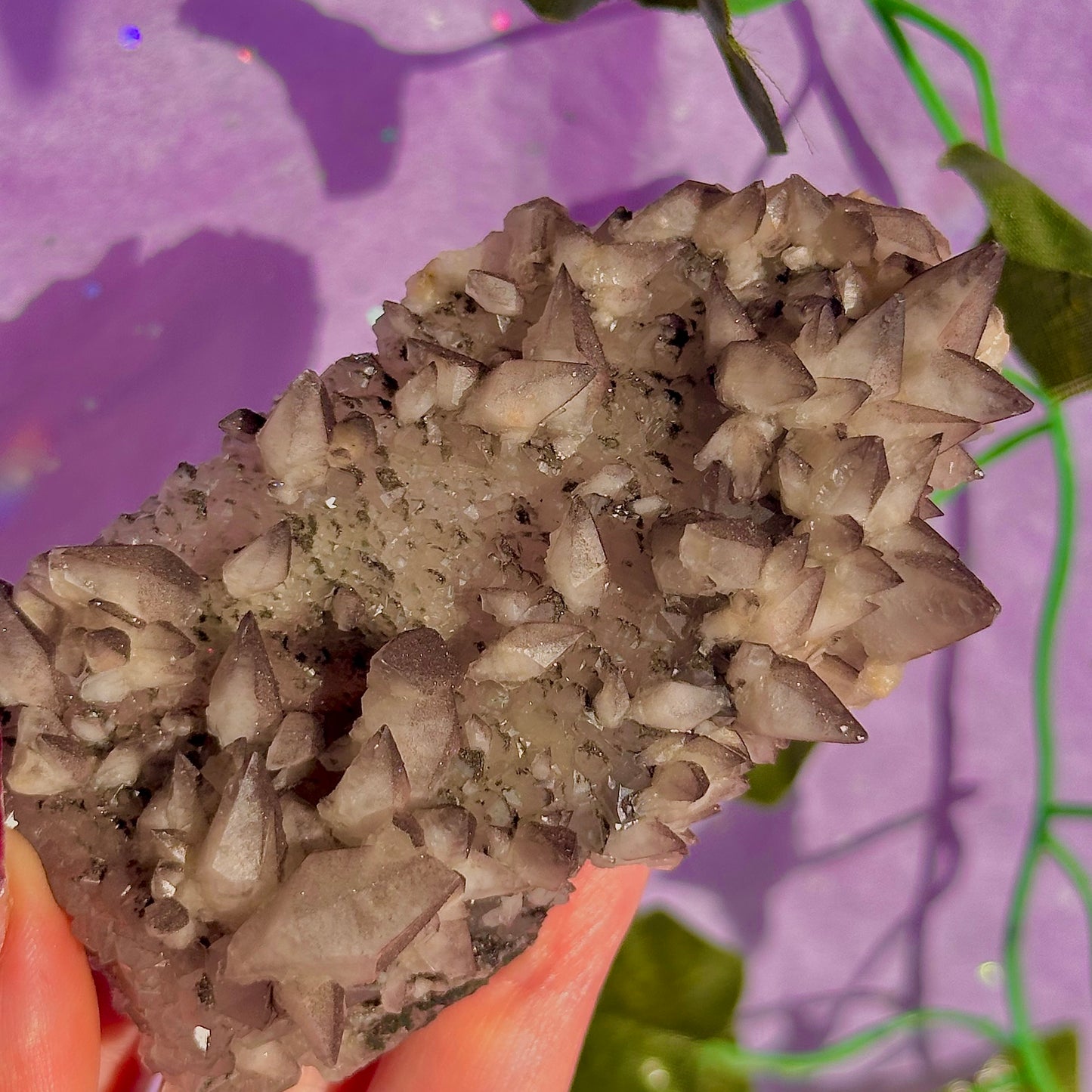 tigers tooth / dogs tooth calcite cluster specimen