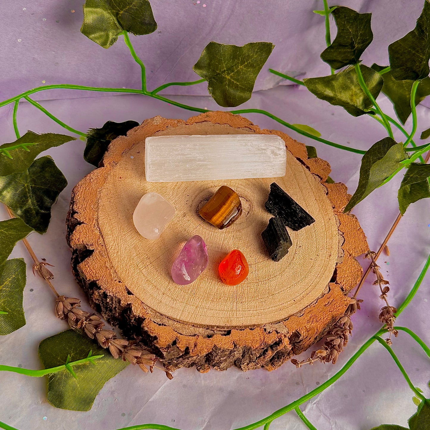 welcome newcomers bundle