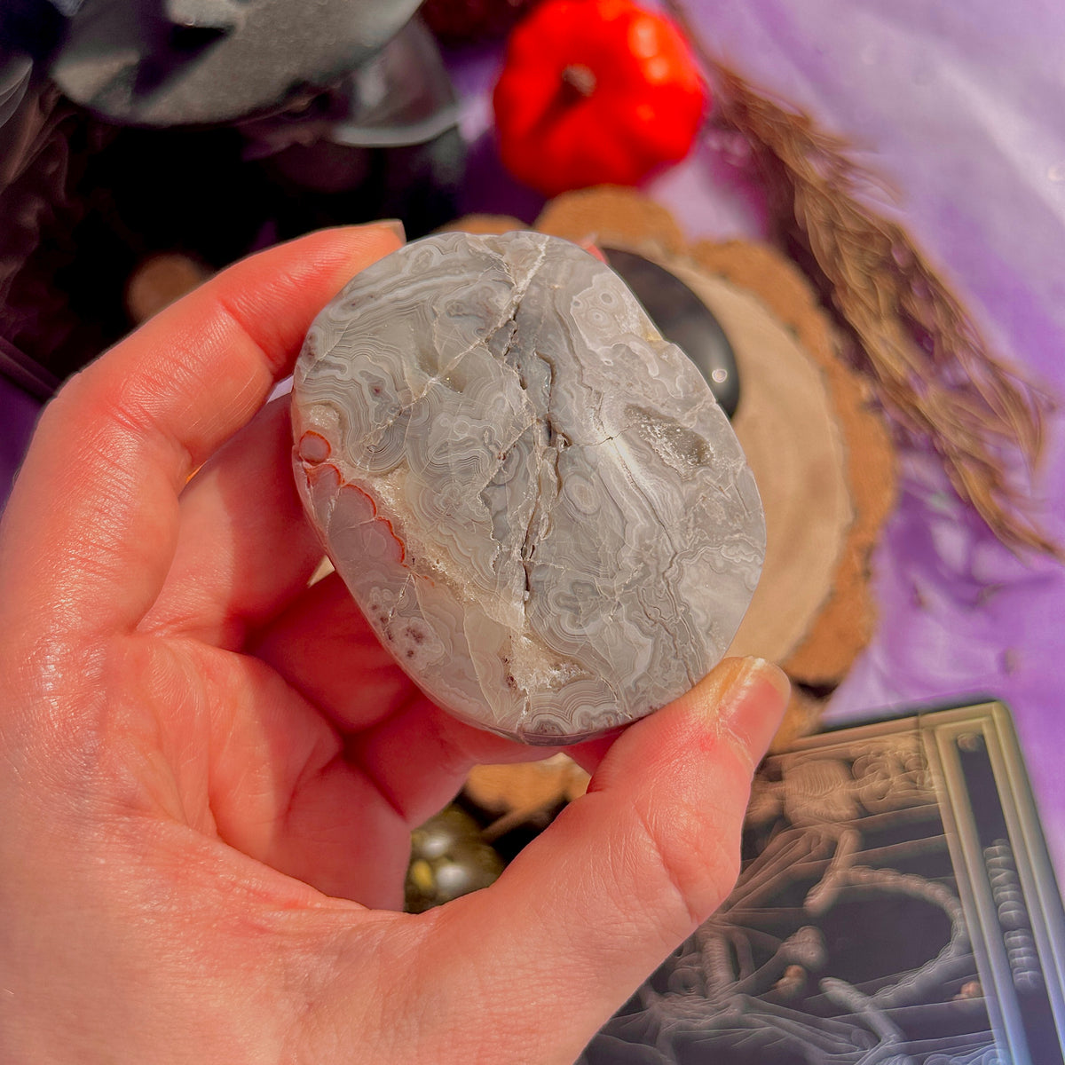 mixed palm stones ~ choose your own
