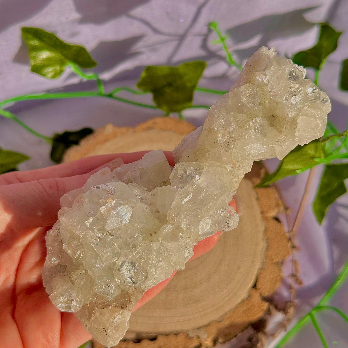 apophyllite specimen cluster