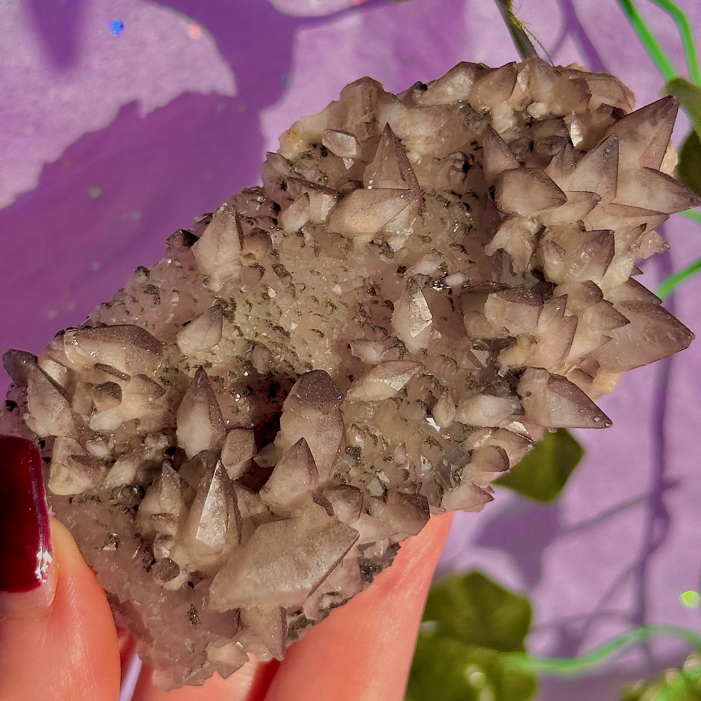 tigers tooth / dogs tooth calcite cluster specimen