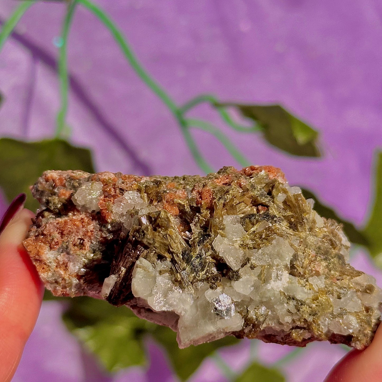 spécimen d'épidote de forêt avec quartz et grenat