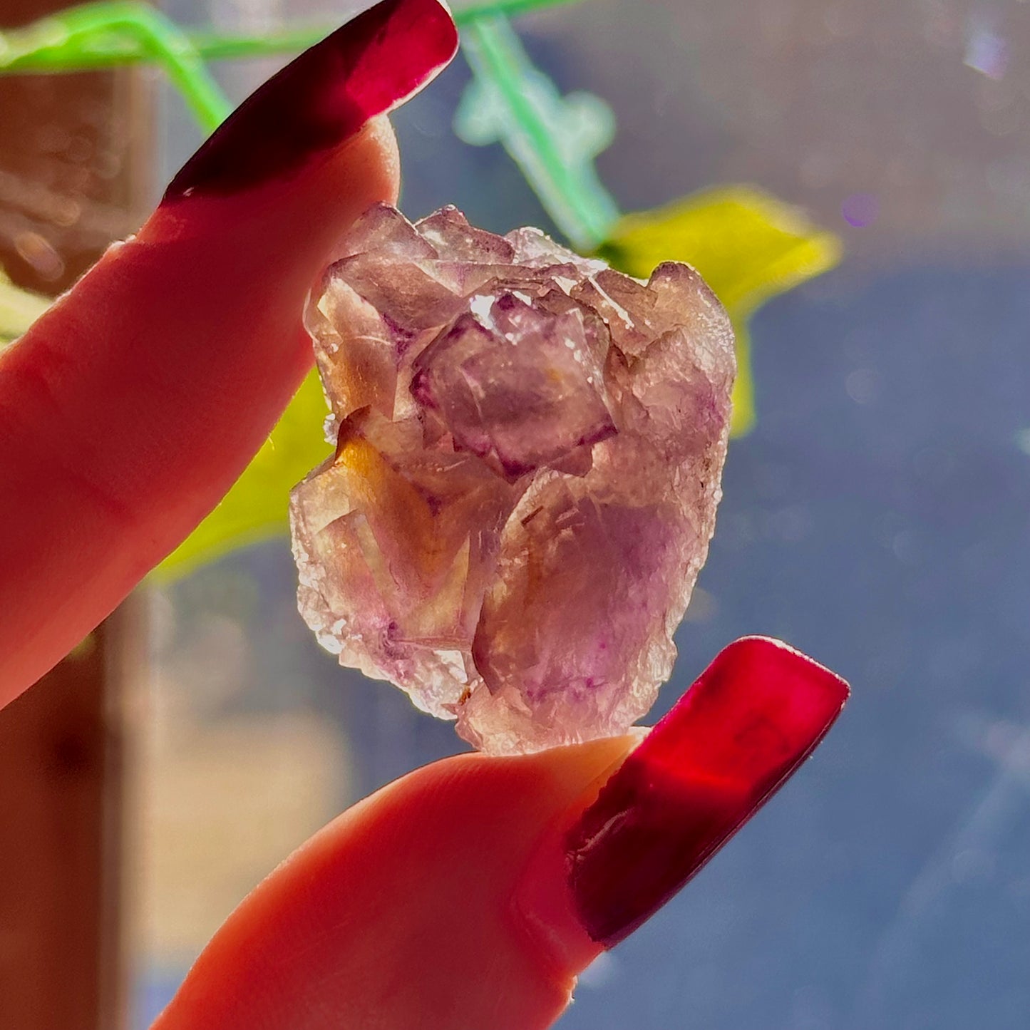 stalactitic UV cubic fluorite cluster specimen ~ choose your own