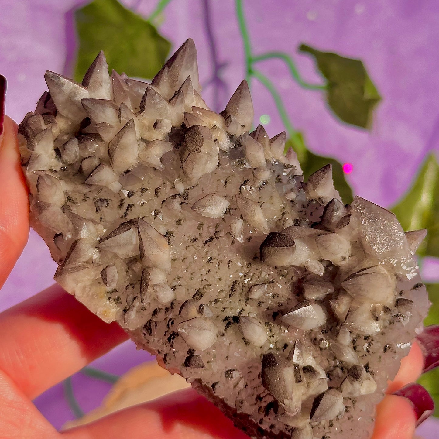 tigers tooth / dogs tooth calcite cluster specimen