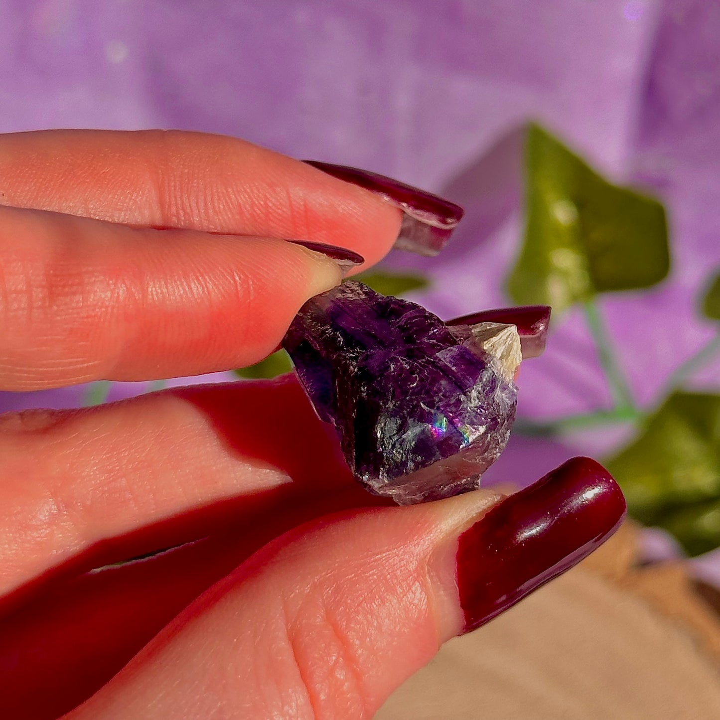 stalactitic UV cubic fluorite cluster specimen ~ choose your own