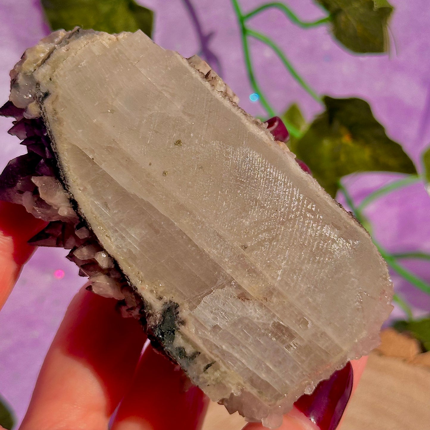 tigers tooth / dogs tooth calcite cluster specimen