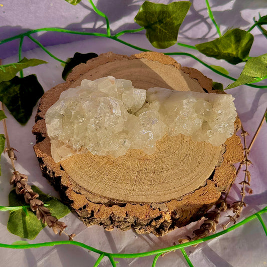 apophyllite specimen cluster