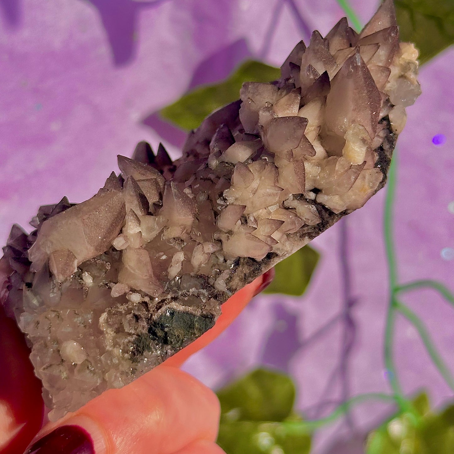 tigers tooth / dogs tooth calcite cluster specimen