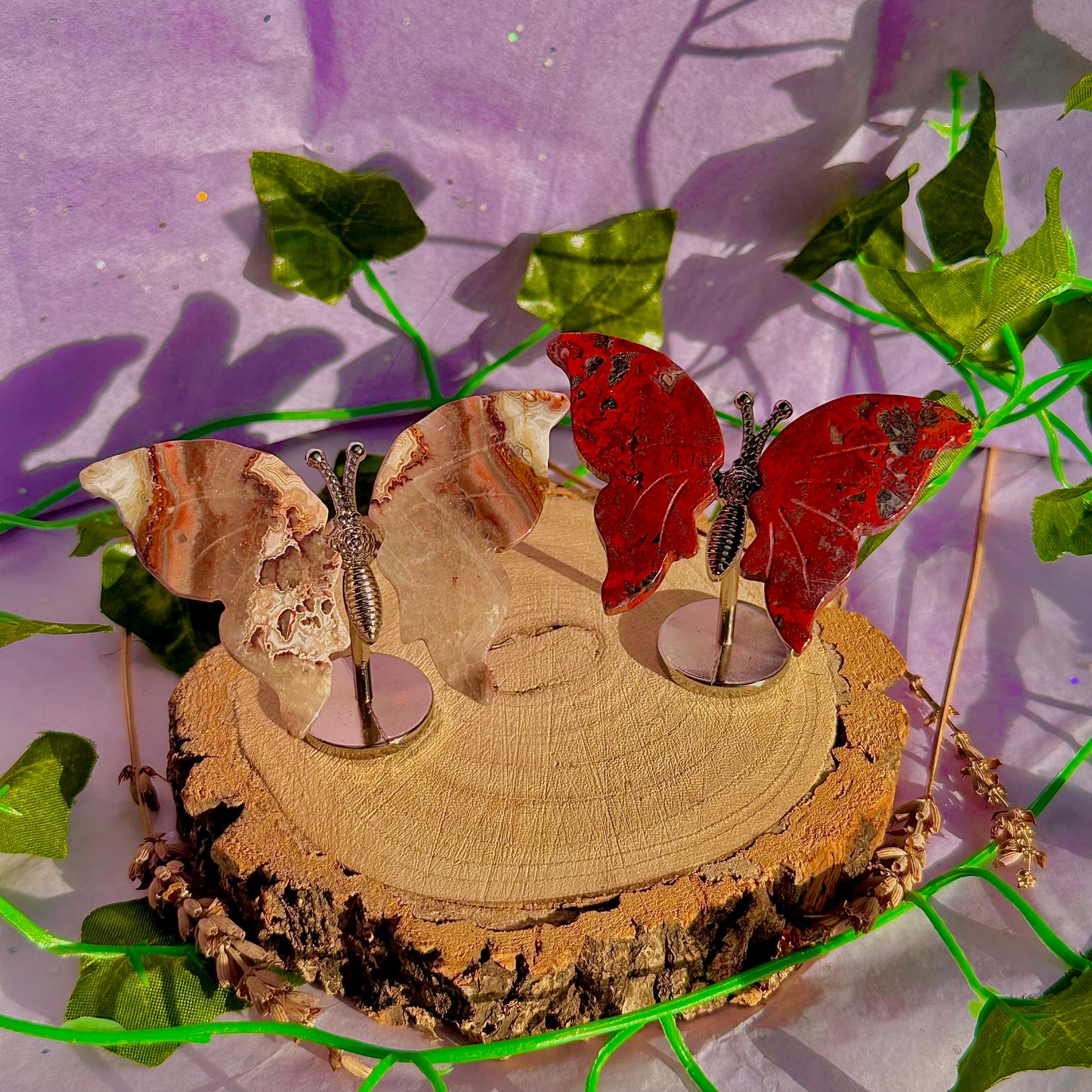 small butterfly wings on stand A ~ choose your own