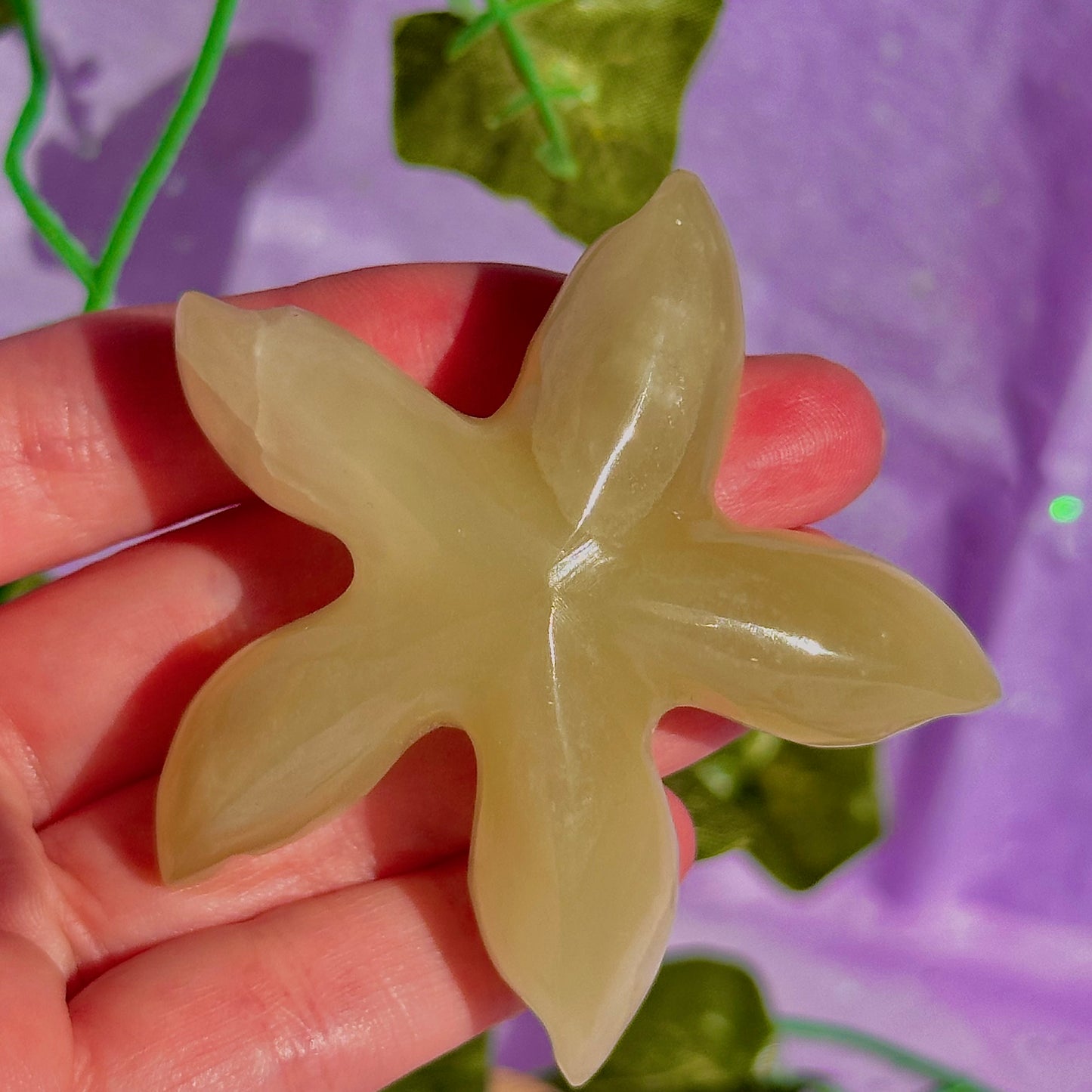 banded calcite / onyx starfish carving