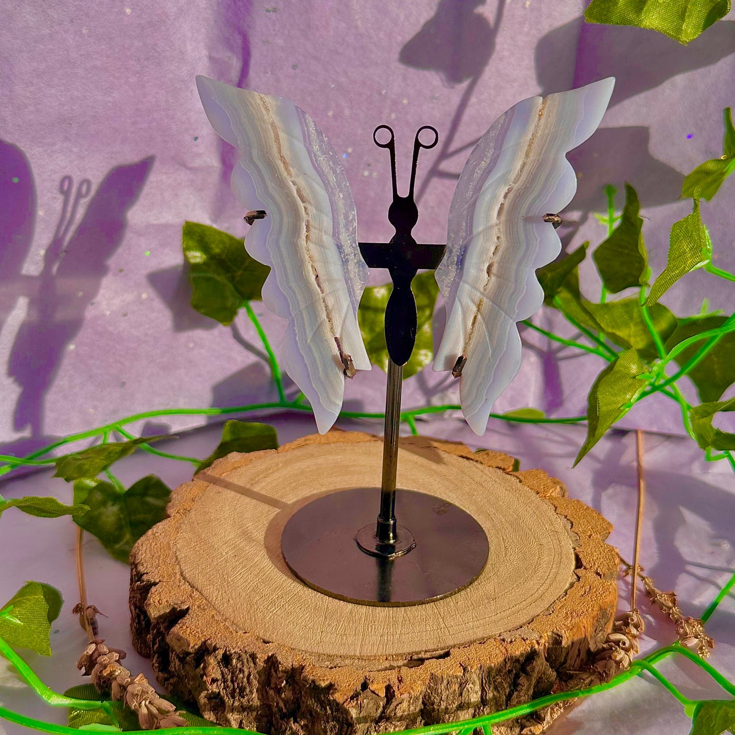 blue lace agate butterfly wings on stand A