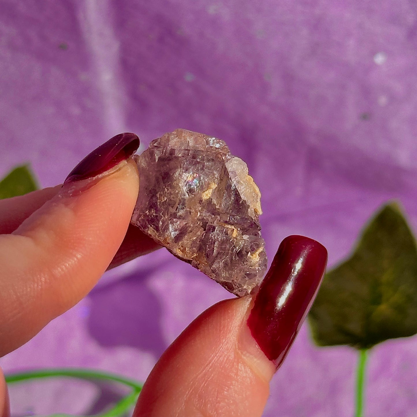 stalactitic UV cubic fluorite cluster specimen ~ choose your own