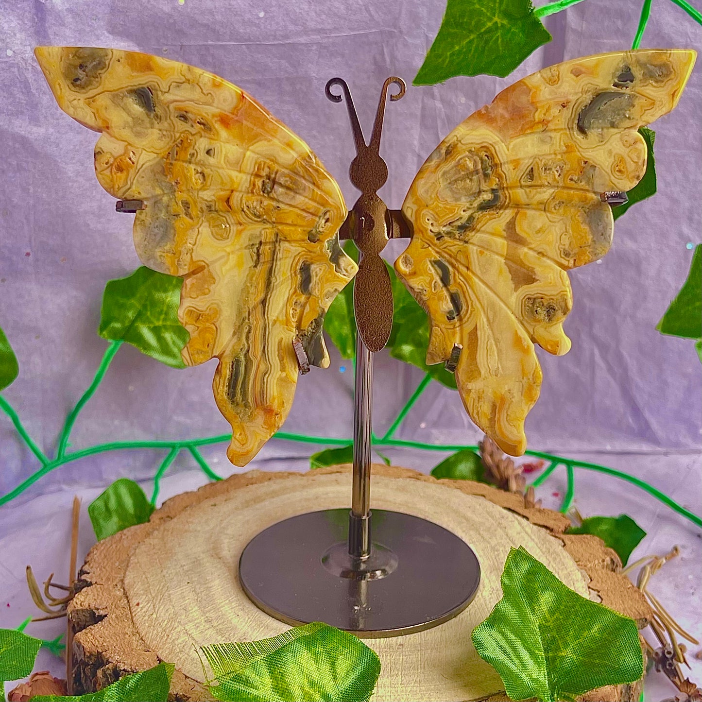 crazy lace agate butterfly wings on stand