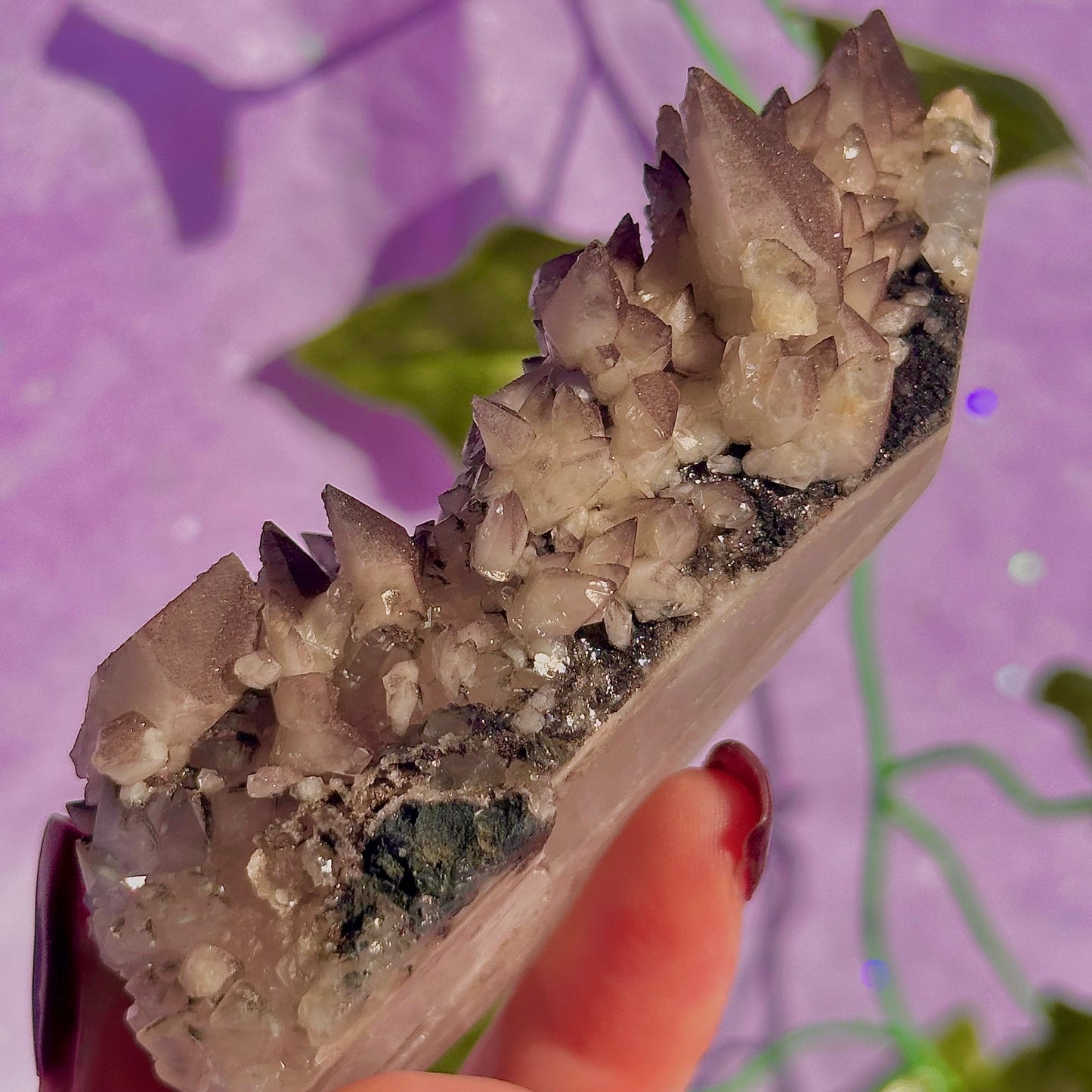 tigers tooth / dogs tooth calcite cluster specimen