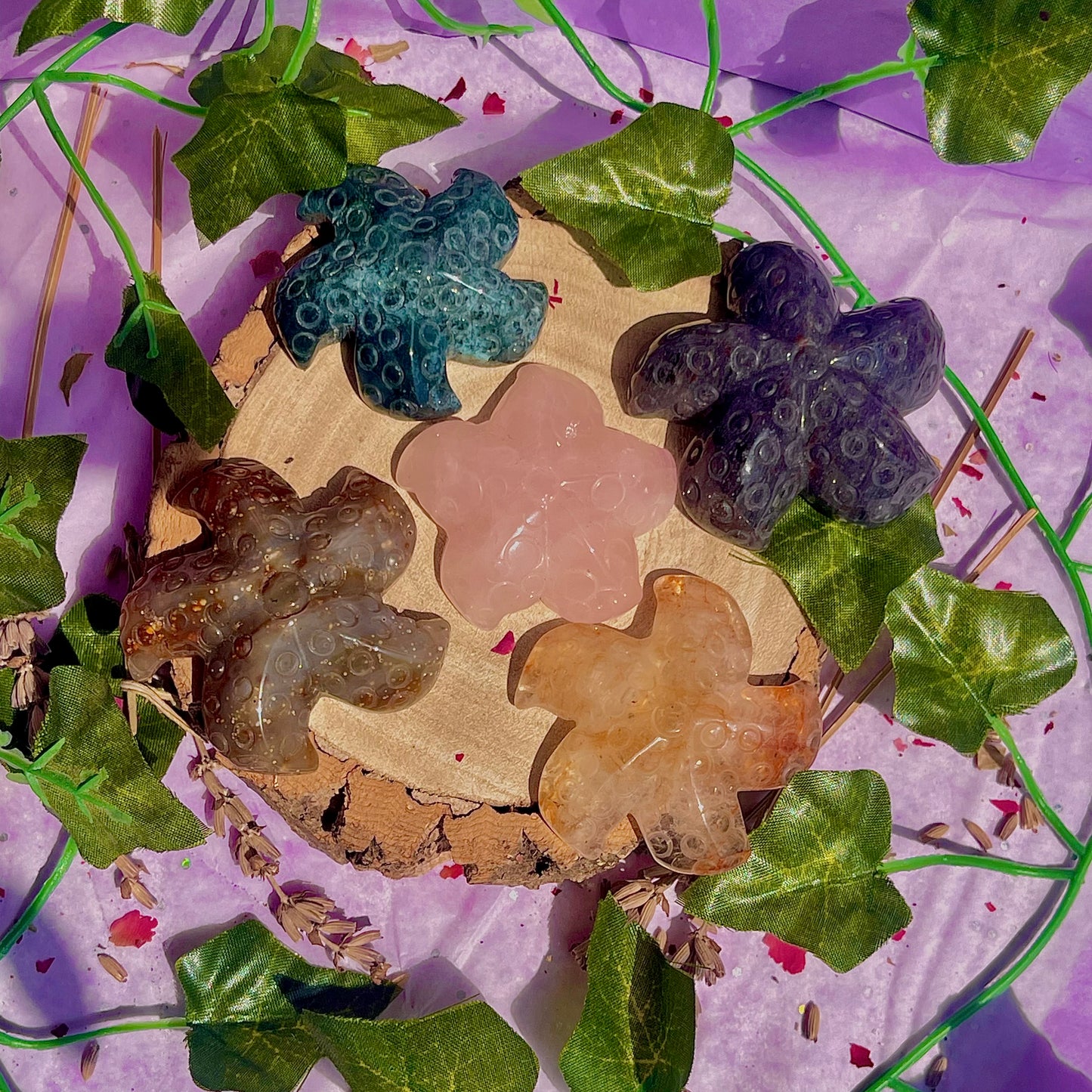 mixed starfish carvings ~ choose your own