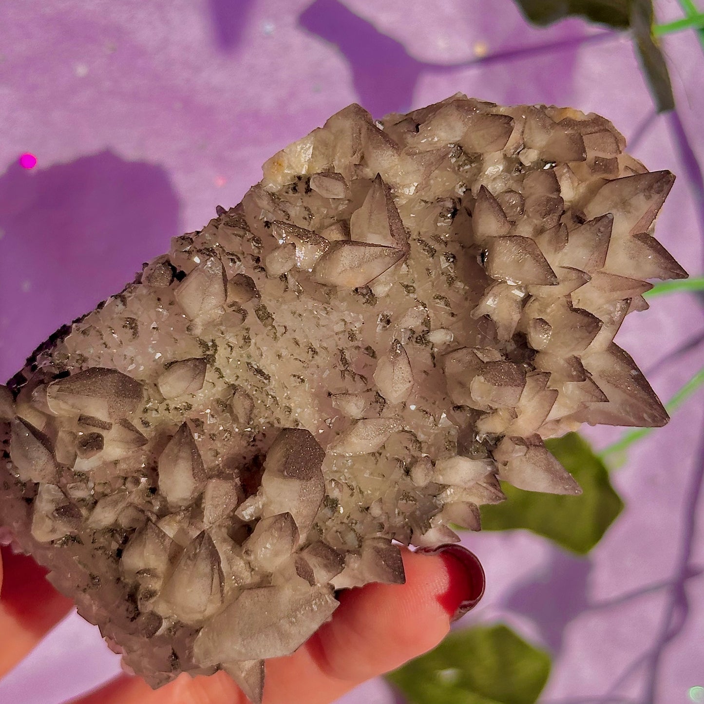 tigers tooth / dogs tooth calcite cluster specimen
