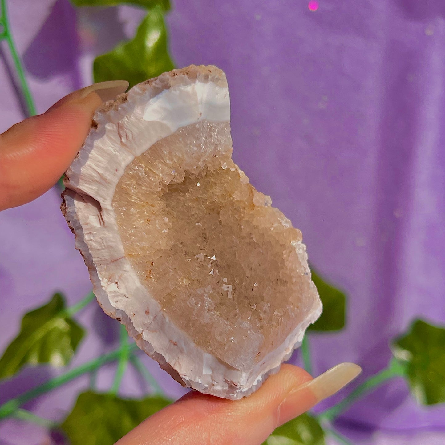 druzy agate geodes D1-5