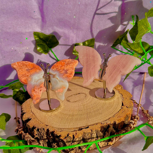 small butterfly wings on stand B ~ choose your own