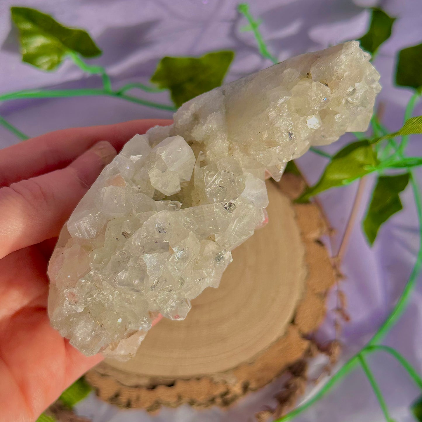 apophyllite specimen cluster