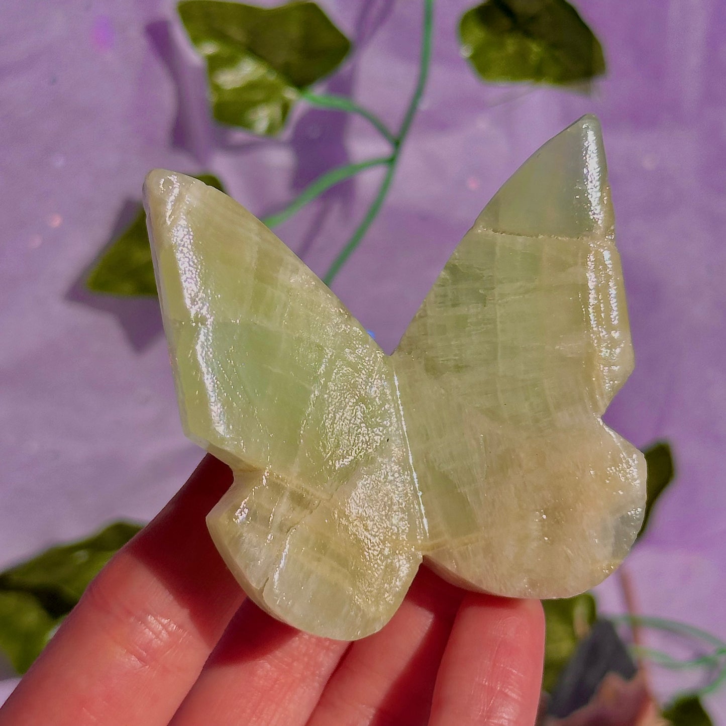 butterfly carving garden 3 ~ choose your own