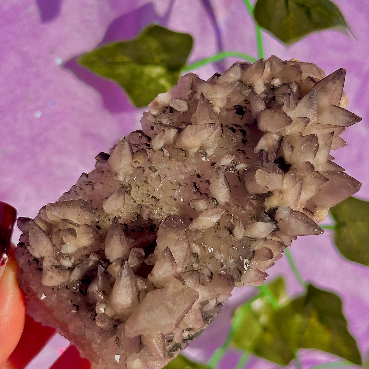 tigers tooth / dogs tooth calcite cluster specimen