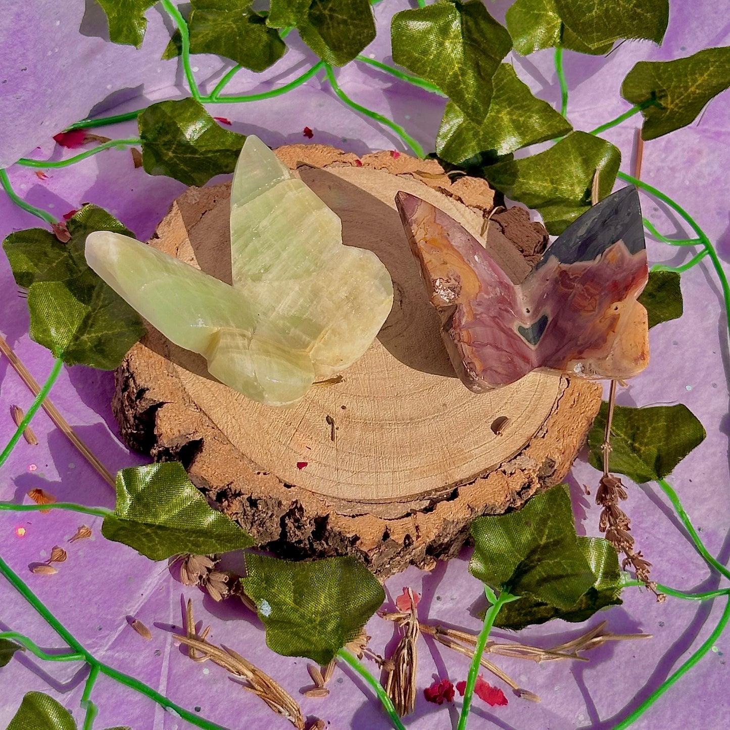 butterfly carving garden 3 ~ choose your own
