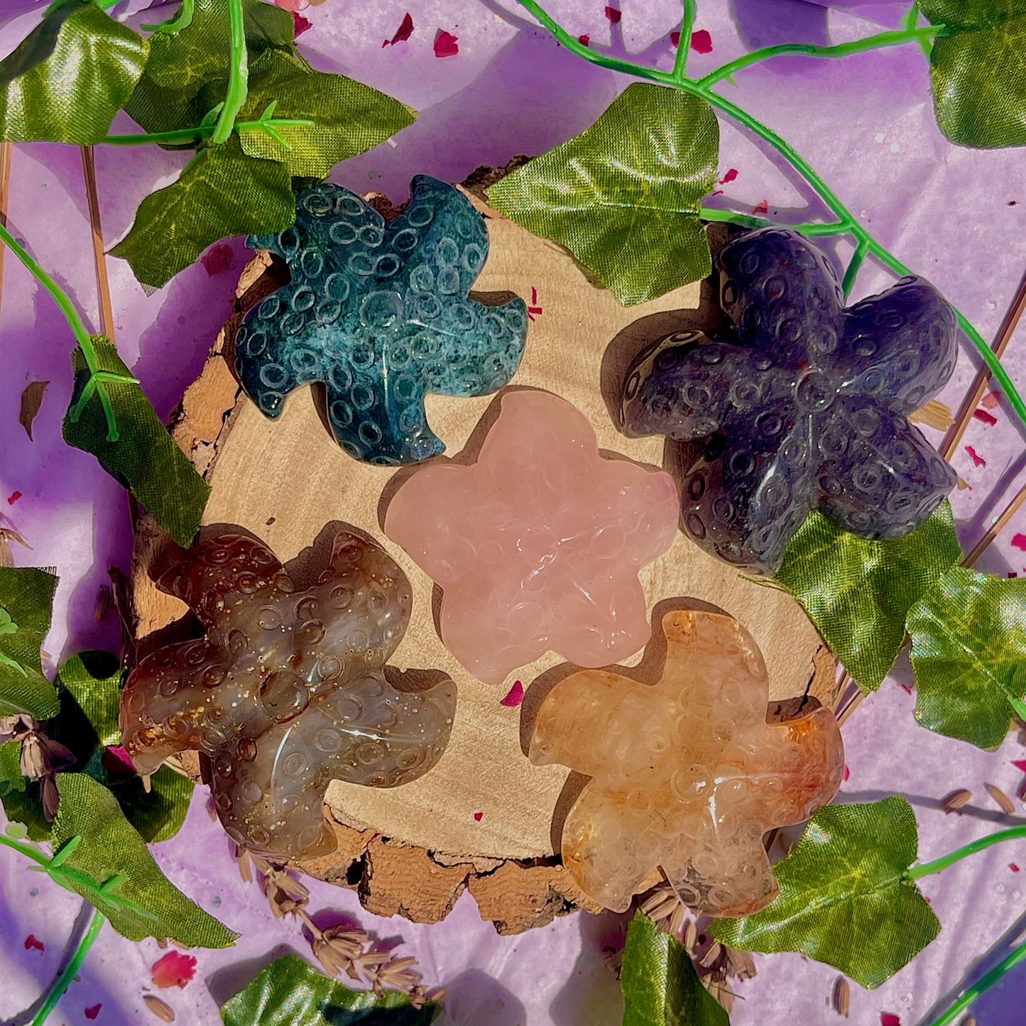 mixed starfish carvings ~ choose your own