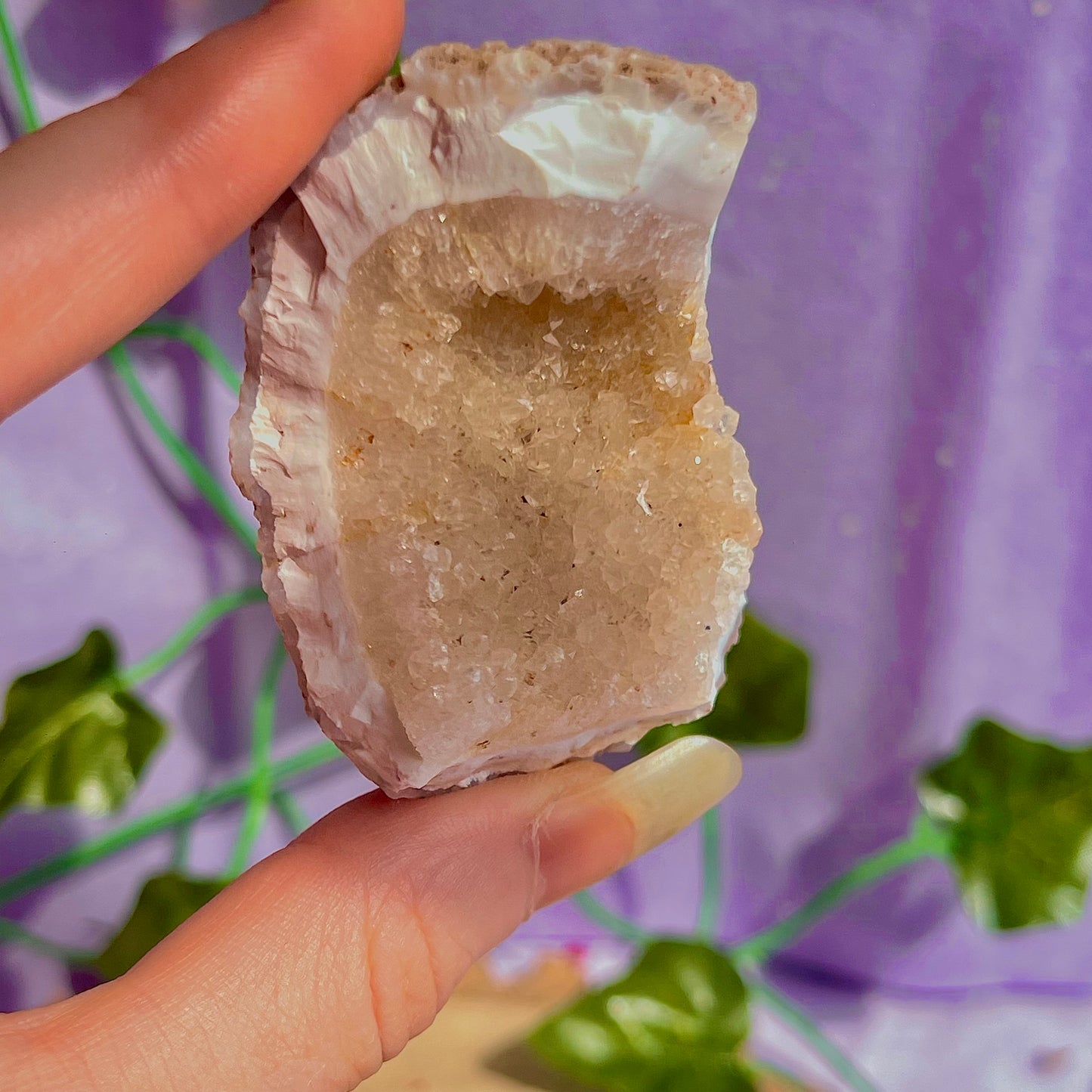 druzy agate geodes D1-5