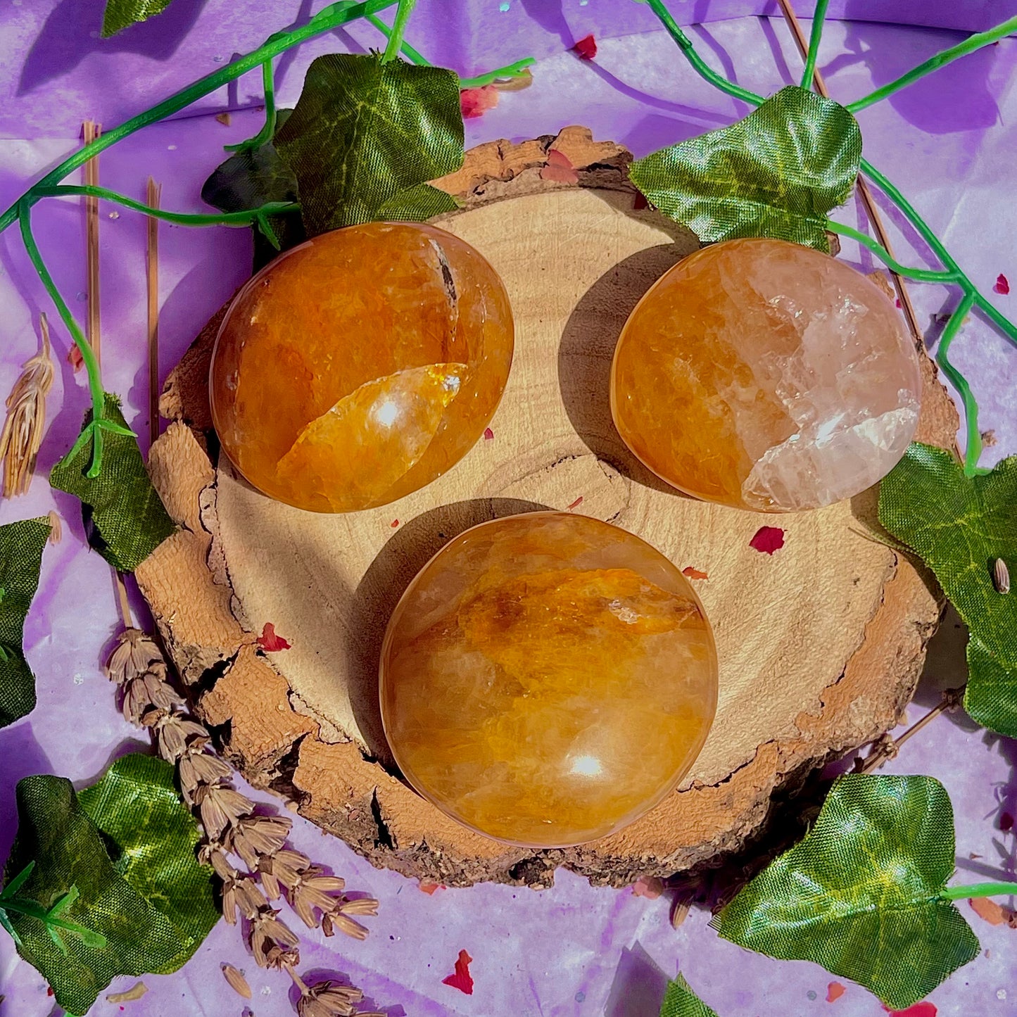 golden healer palm stones ~ intuitively chosen