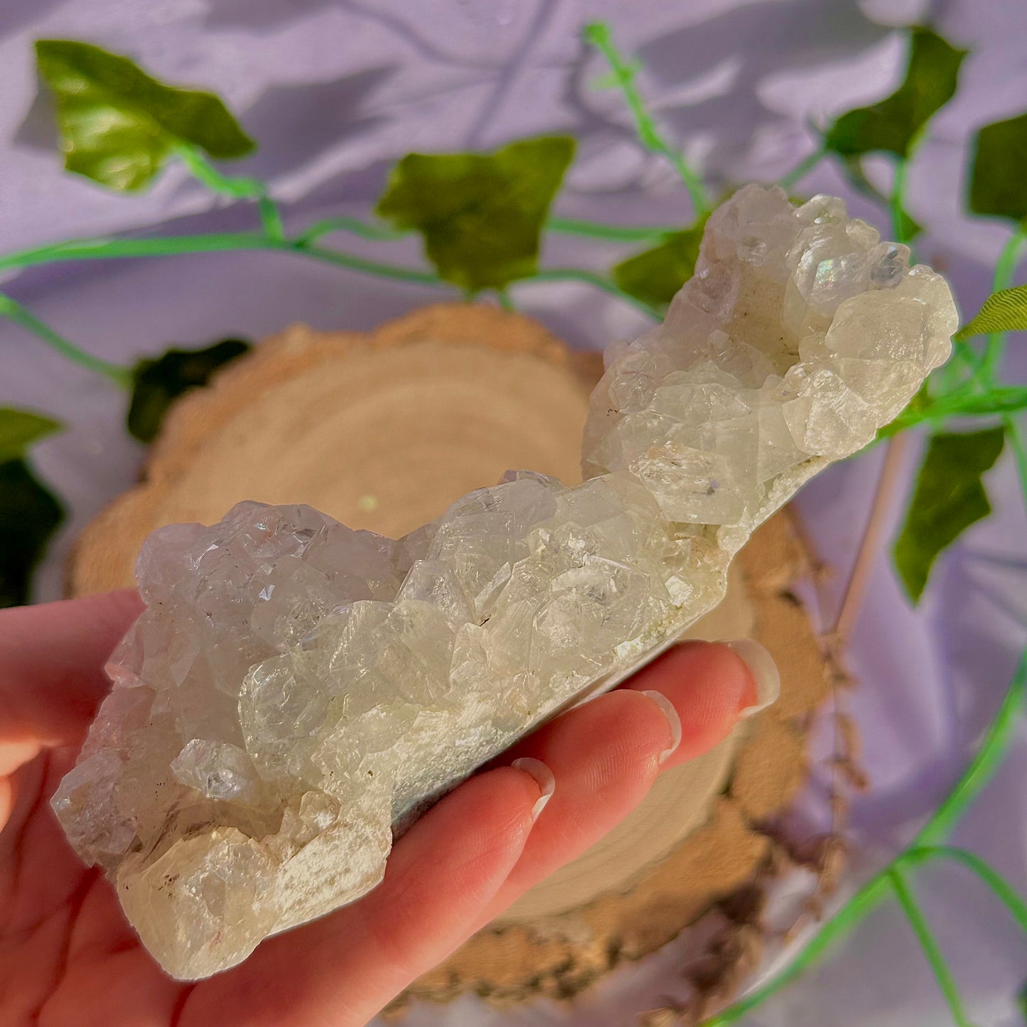 apophyllite specimen cluster