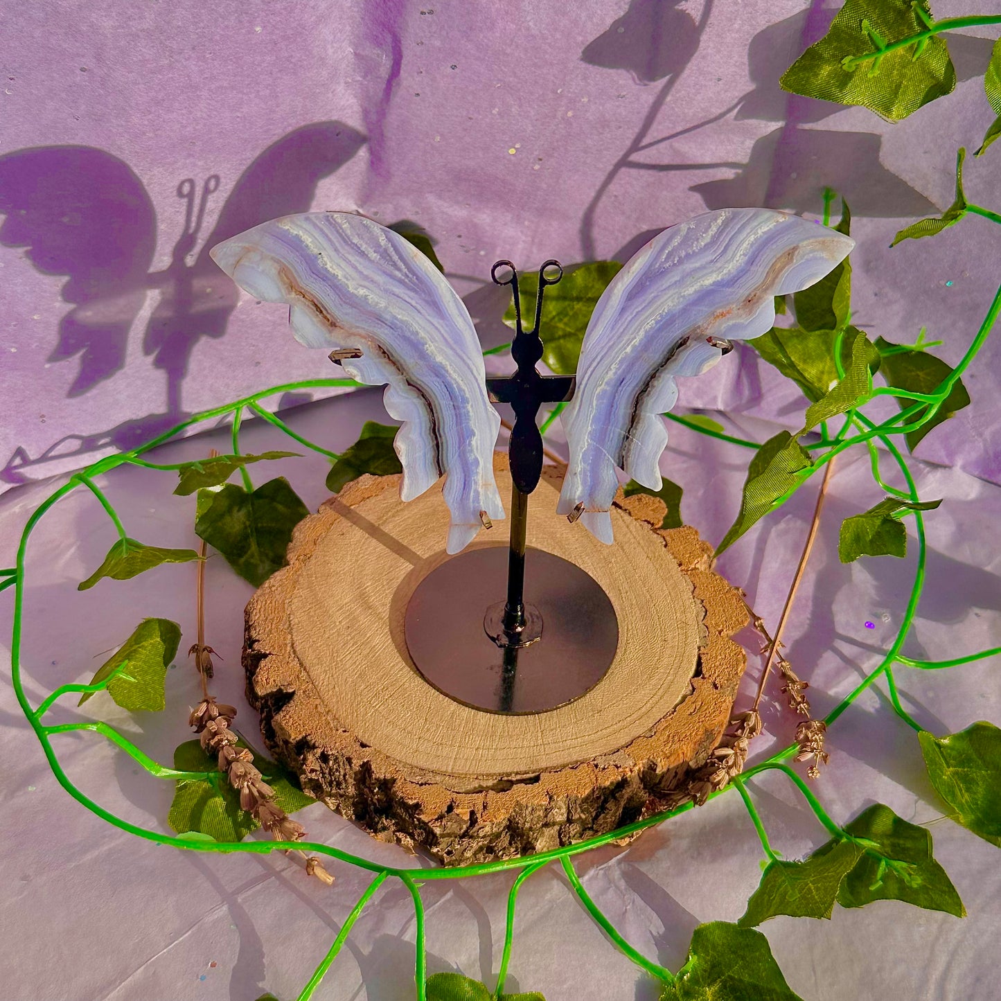 blue lace agate butterfly wings on stand B