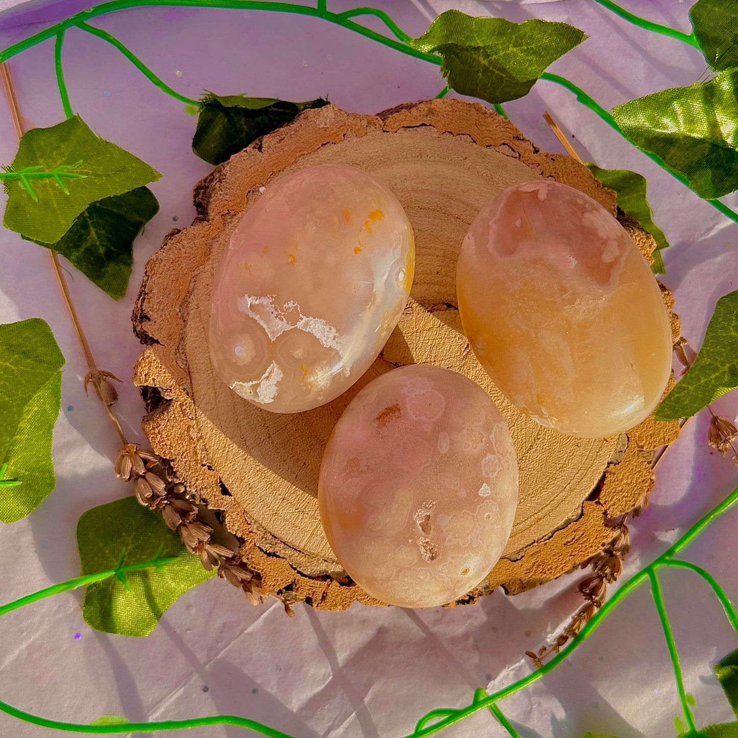 flower agate palm stone ~ intuitively chosen