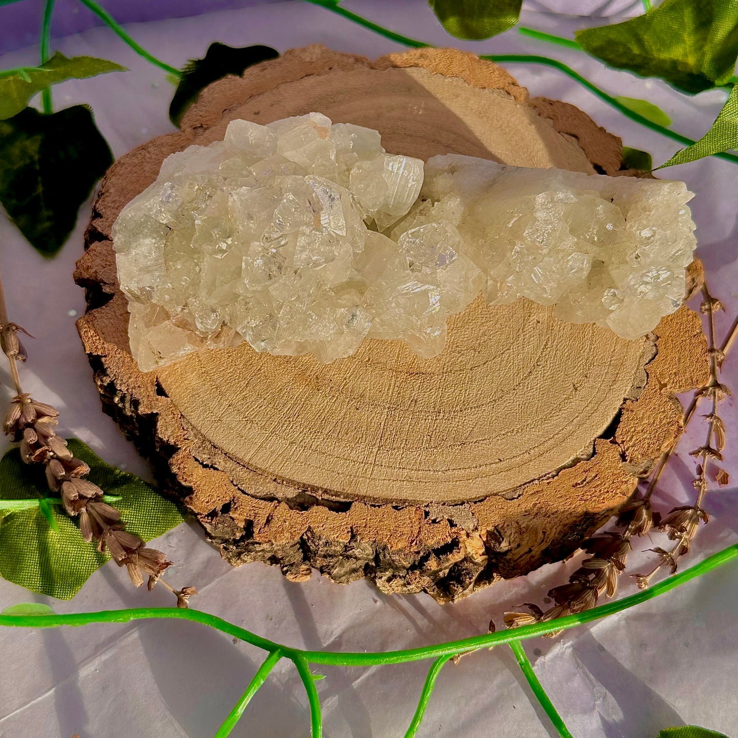 apophyllite specimen cluster