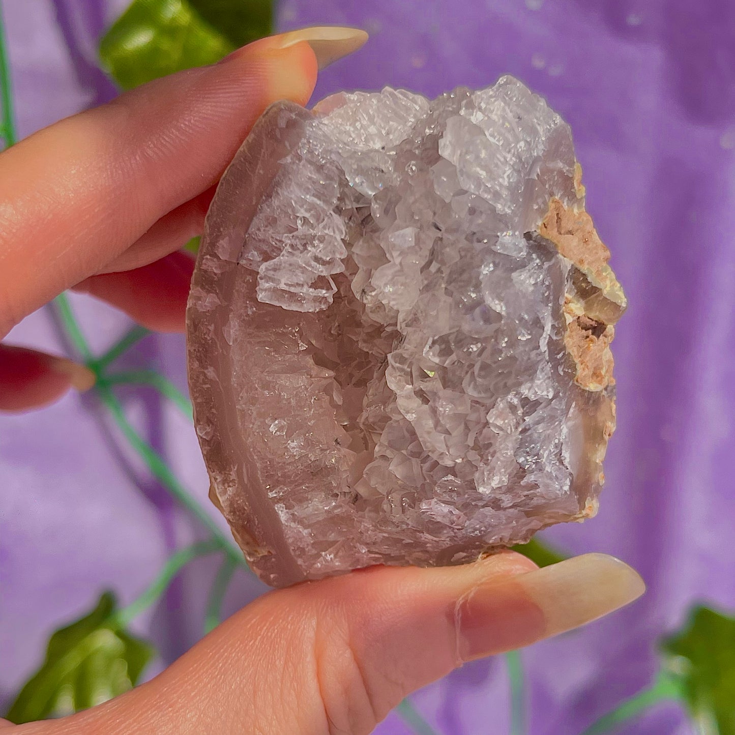druzy agate geodes D1-5