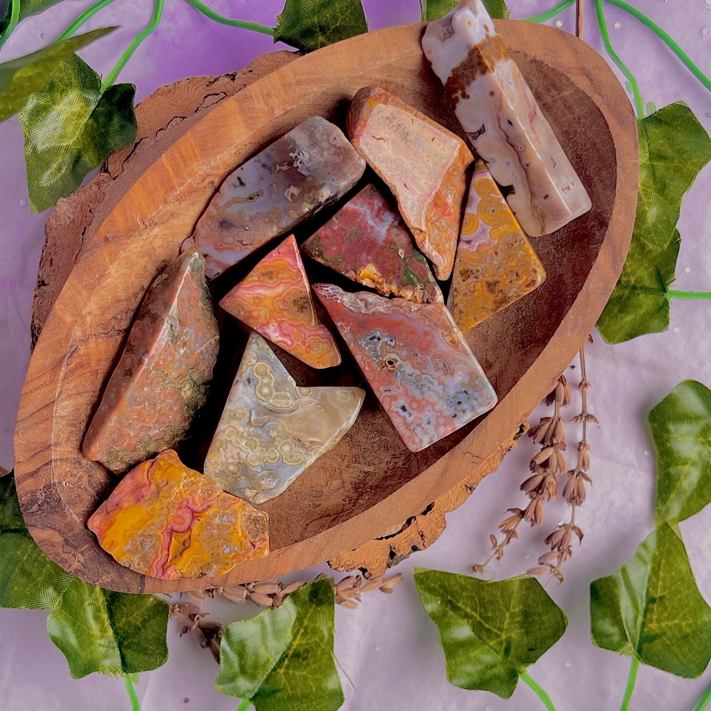 8th vein jasper freeform pieces ~ medium