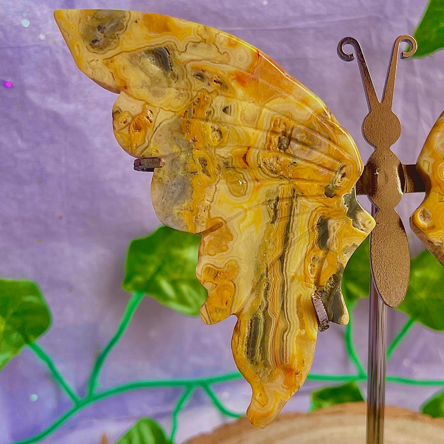 crazy lace agate butterfly wings on stand
