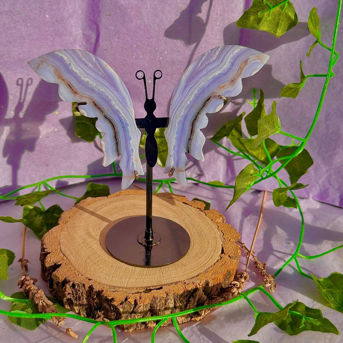 blue lace agate butterfly wings on stand B