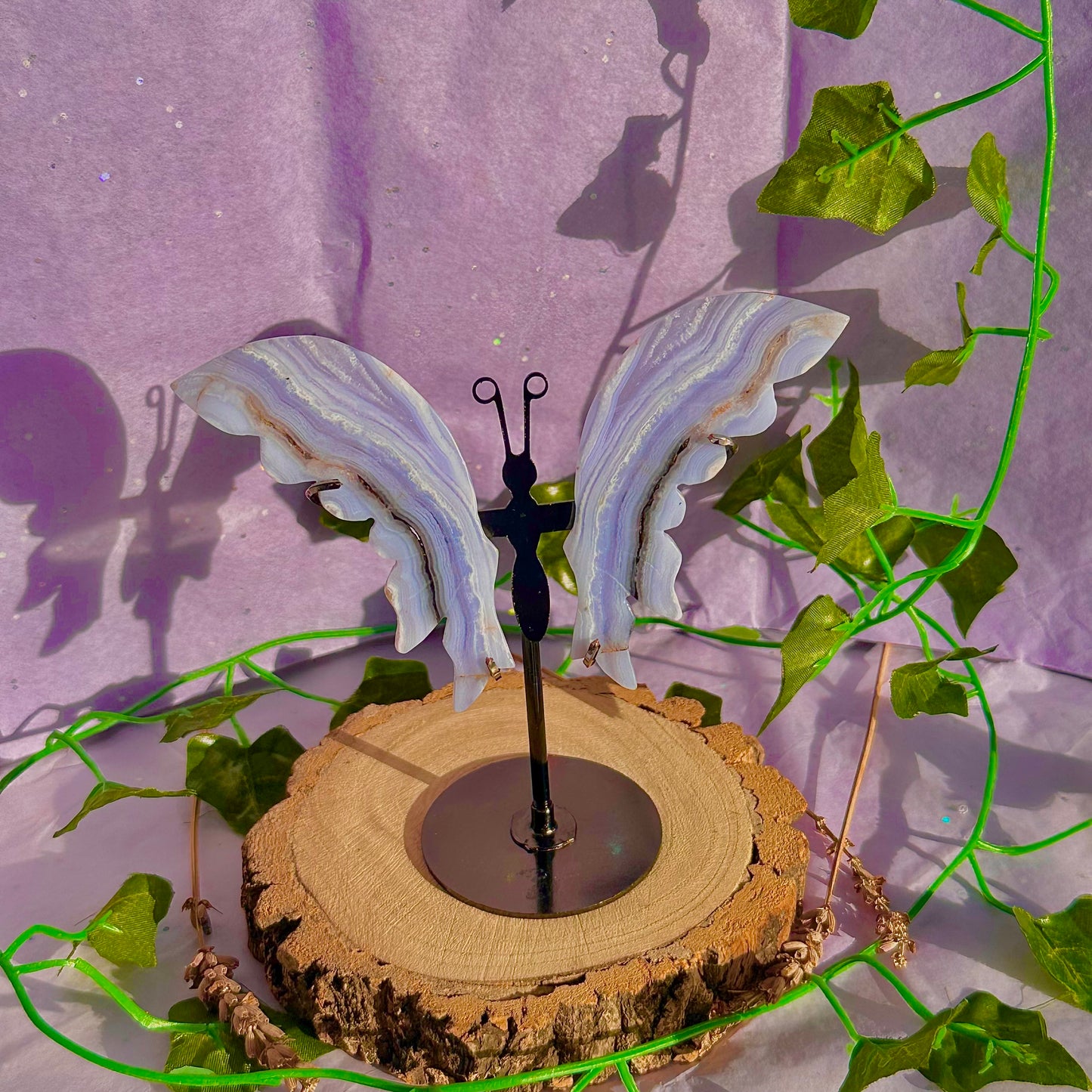 blue lace agate butterfly wings on stand B