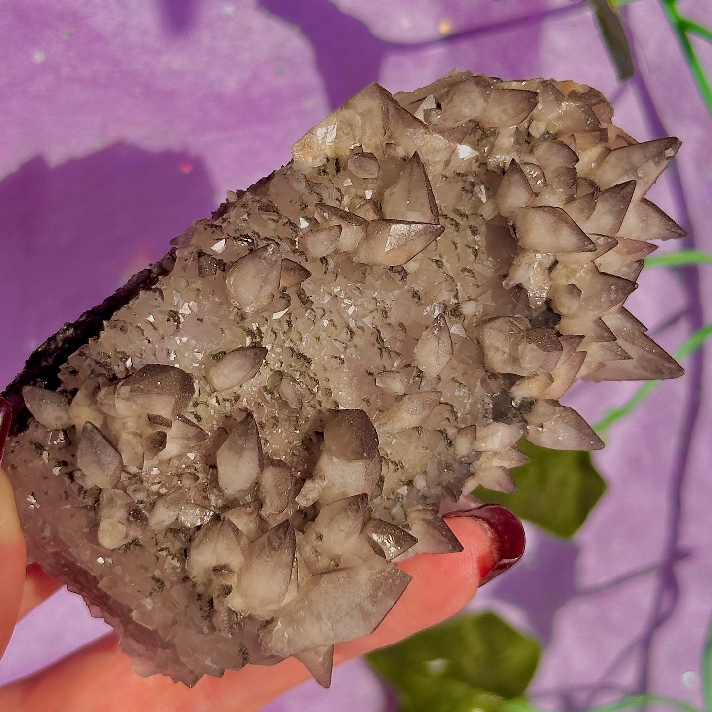 tigers tooth / dogs tooth calcite cluster specimen