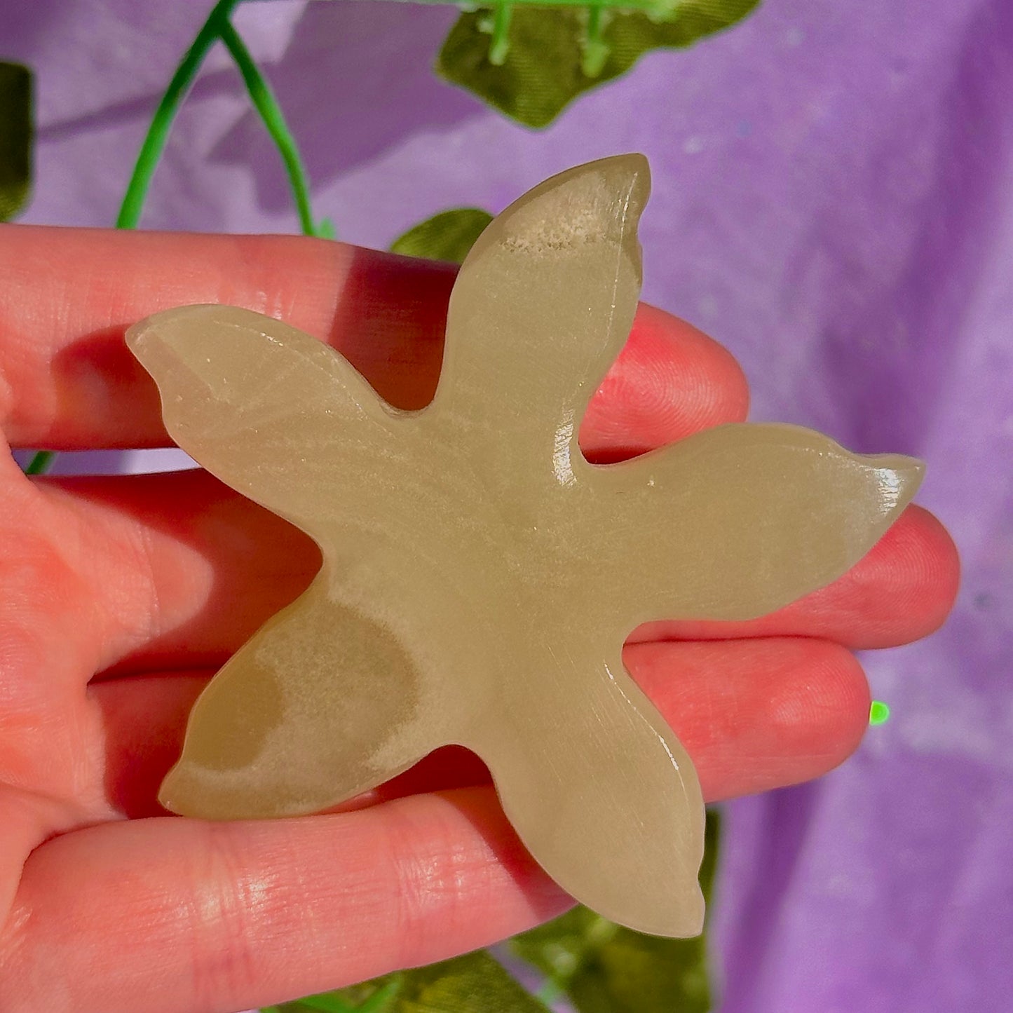 banded calcite / onyx starfish carving