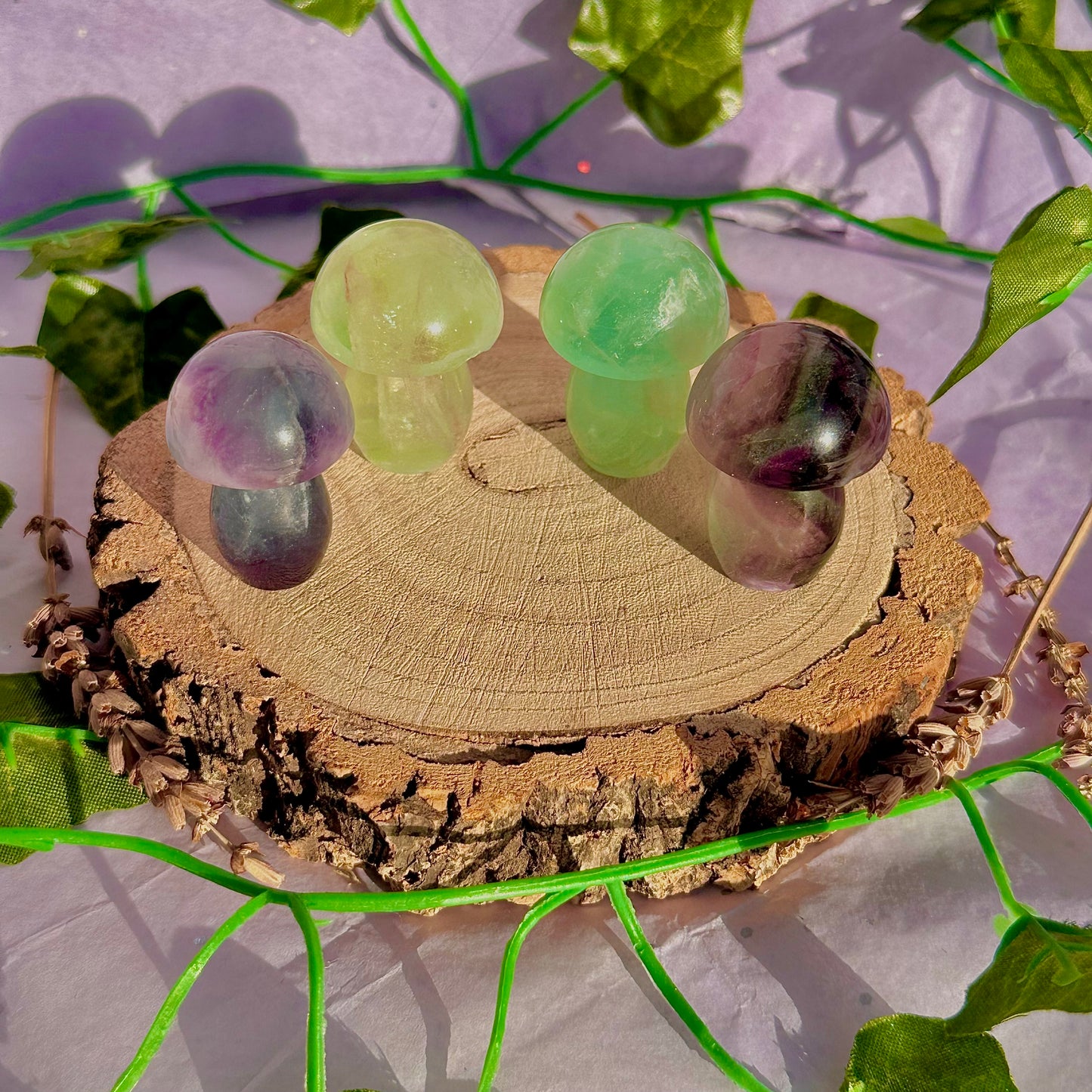 candy rainbow fluorite mushroom carvings ~ intuitively chosen
